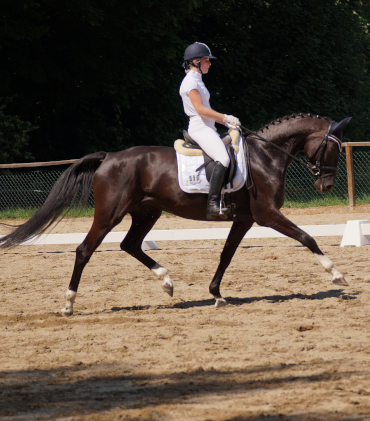 Simona von Stetten-Zettl